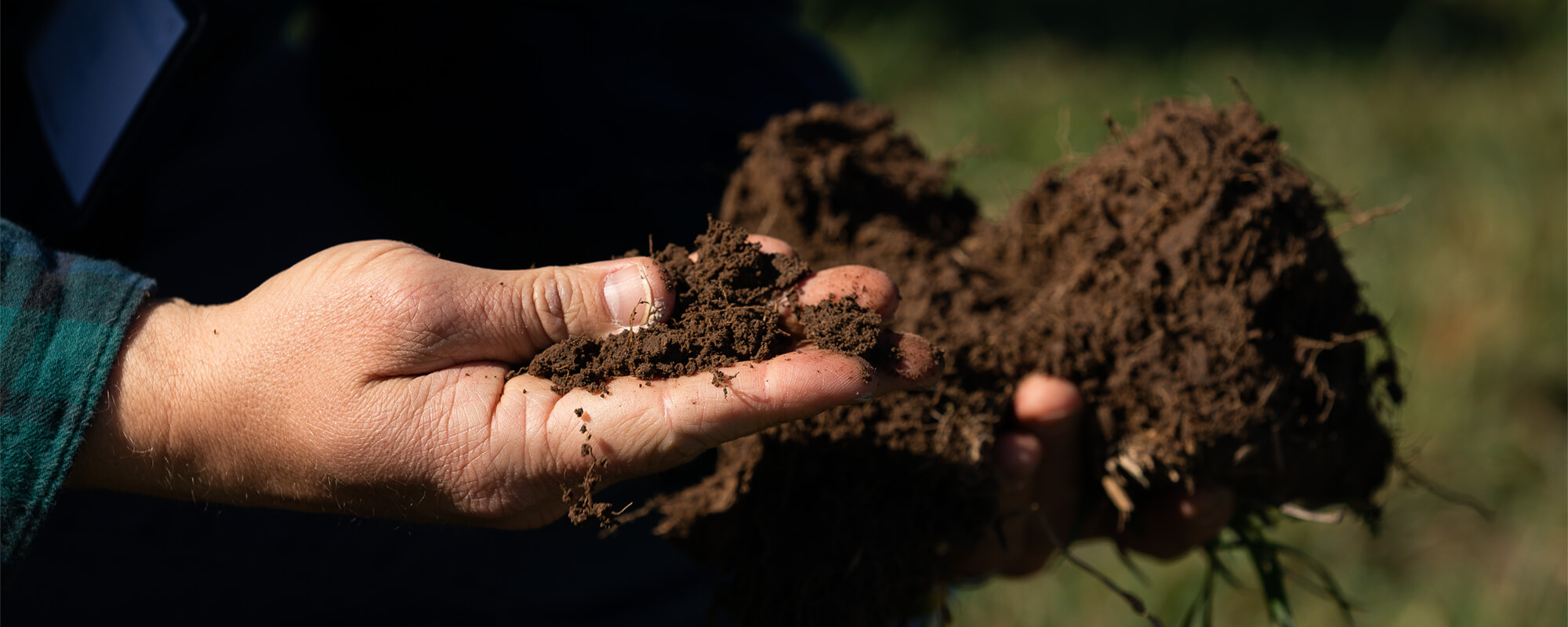 It's All Game: Time to soil your plants again