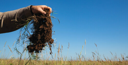 New Weekend Dates Announced for Noble Grazing Essentials in Waller, Texas thumb