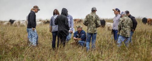 Noble Research Institute Conducts First Essentials of Regenerative Grazing Course  thumb