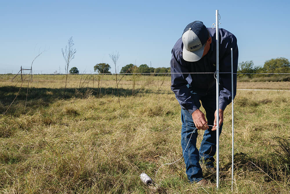 Adding a second line to the polywire fence