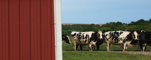 The Power of Diversity: Improving Profits Leads to Soil Health thumb