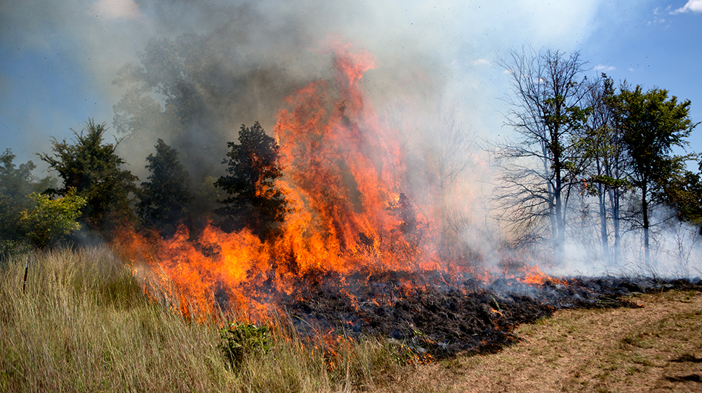 controlled burn in progress