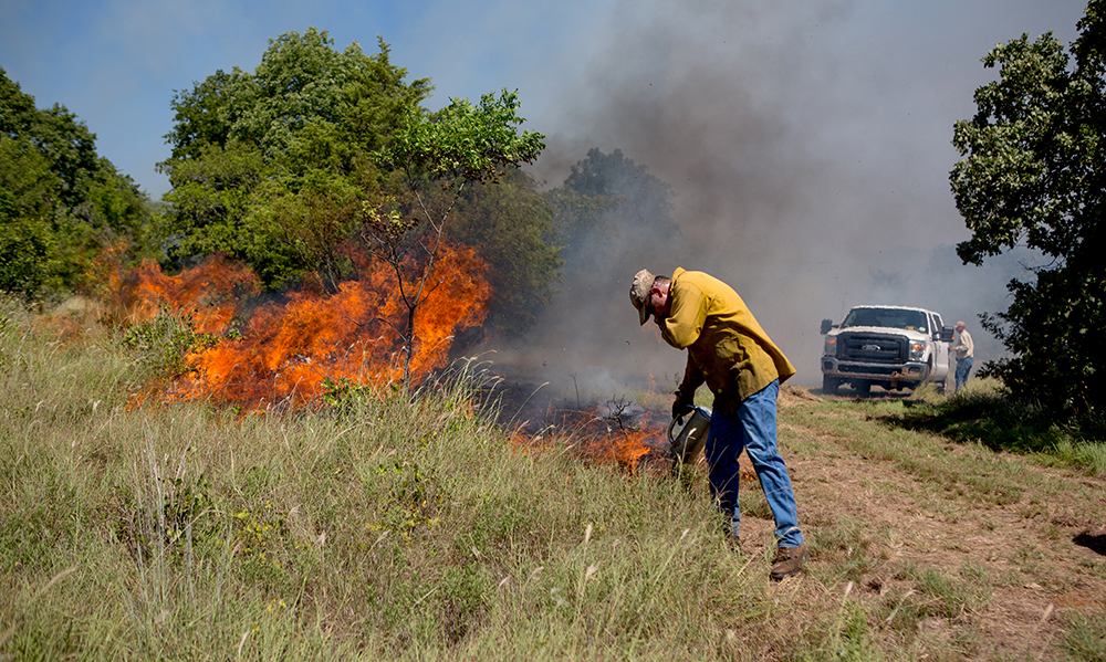 growing season burn