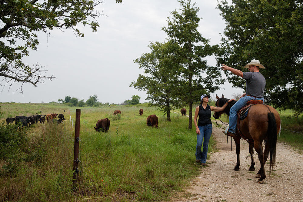 Caitlin Word and Clark Roberts work with cattle