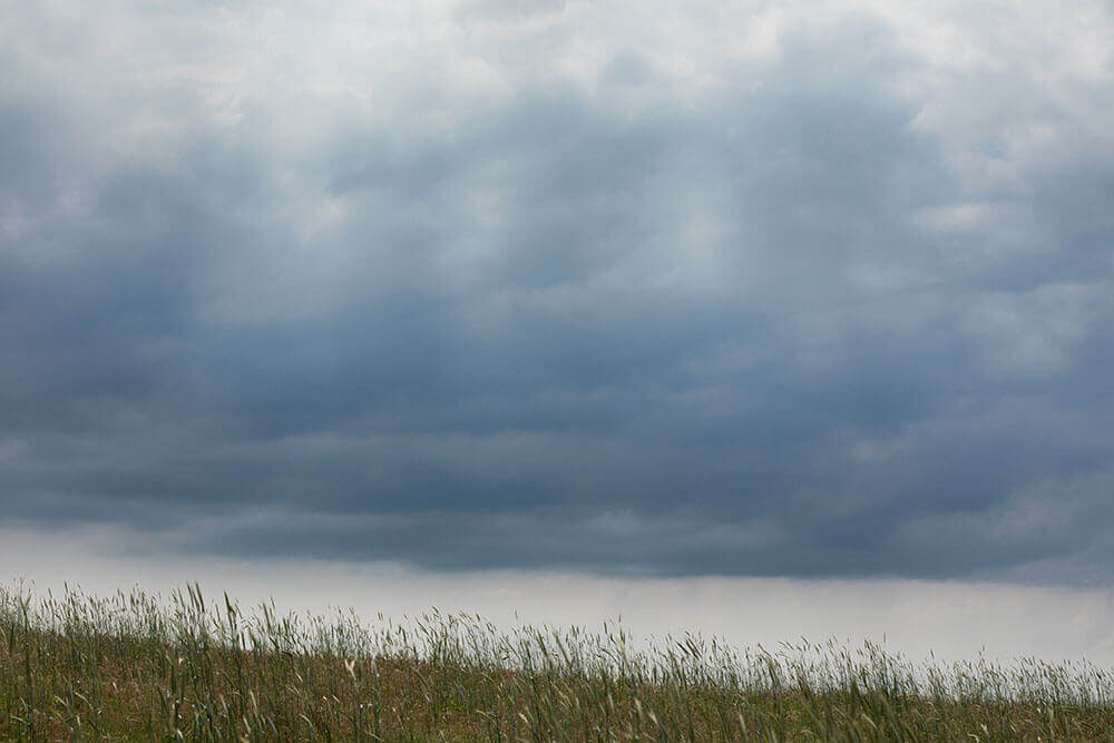 Rain clouds looming over pasture