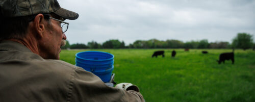 Discover the Power of Observation: A Guide to Tracking and Enhancing Your Regenerative Ranching Transition thumb