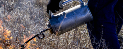 Drip torches facilitate effective prescribed burns thumb