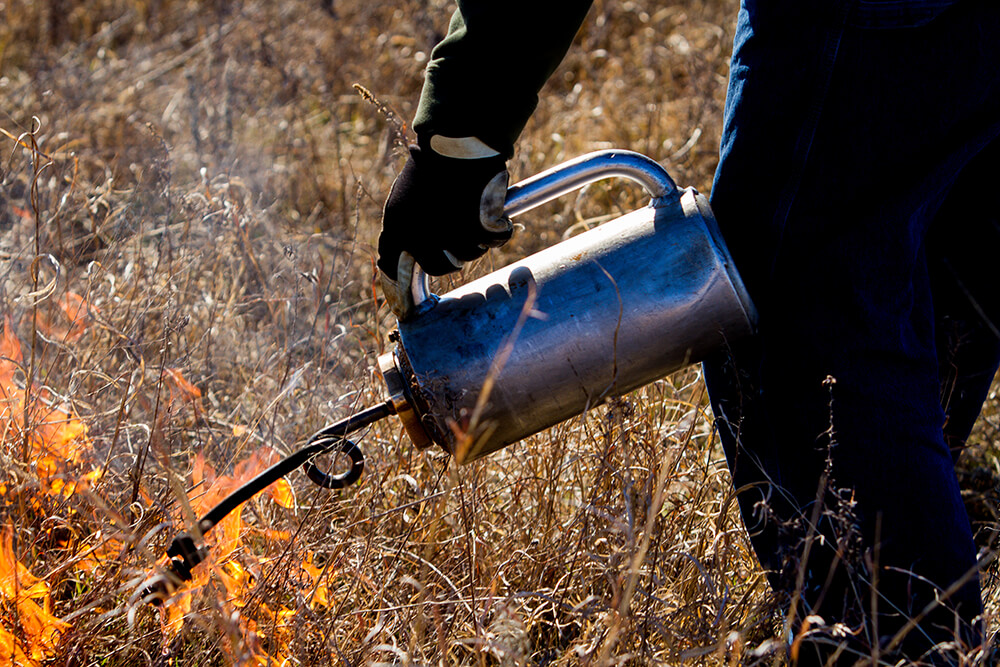 Drip torch with flame