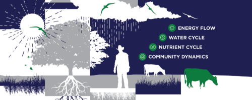 What Are Ecosystem Processes, and Why Do They Matter on the Ranch? thumb