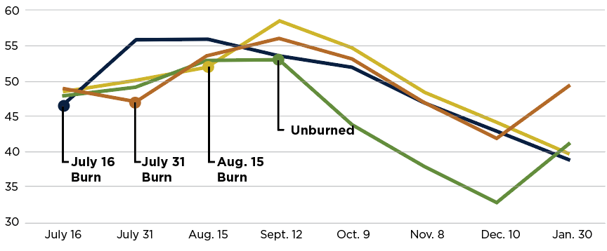 tdn figure 2