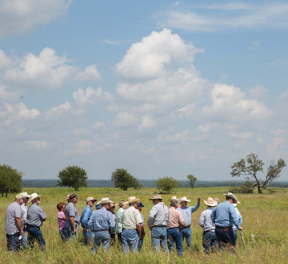 Fall grazing workshop