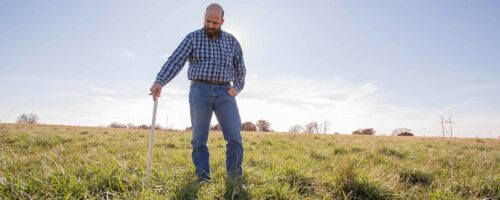 Grazing affects plant root growth thumb