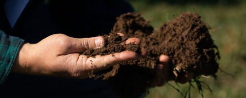 Noble Research Institute Expands Essentials of Regenerative Ranching Program to Oklahoma State University in Stillwater thumb