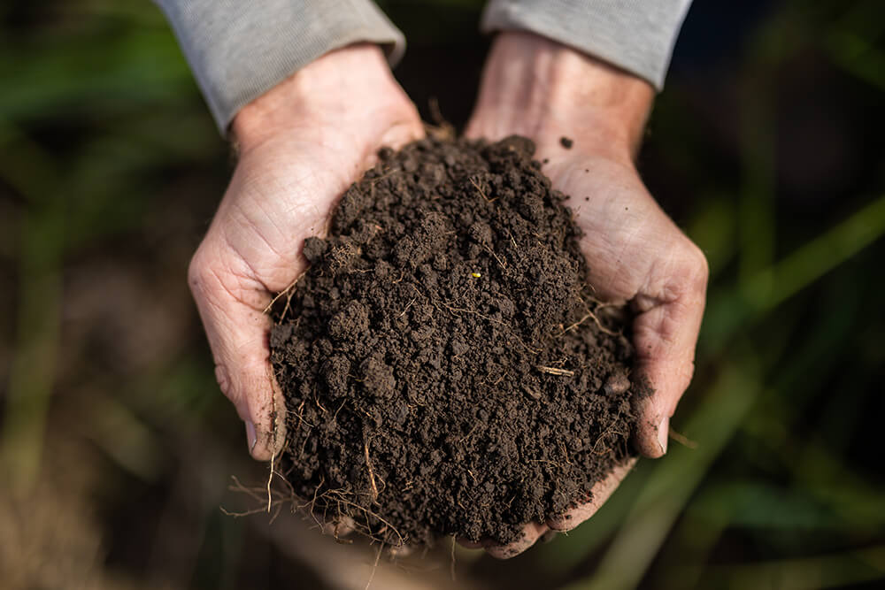 A ranch consultant holds a clump of healthy soil