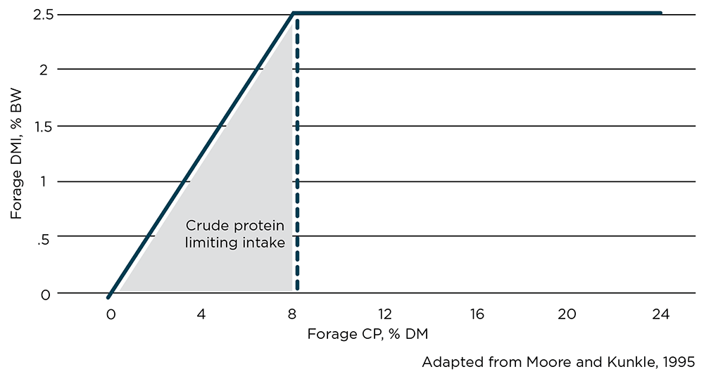 Chart showing how lack of crude protein limits cattle's ability to consume enough forage to sustain their condition