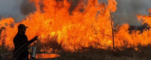 How Often Should You Conduct Prescribed Burns? thumb