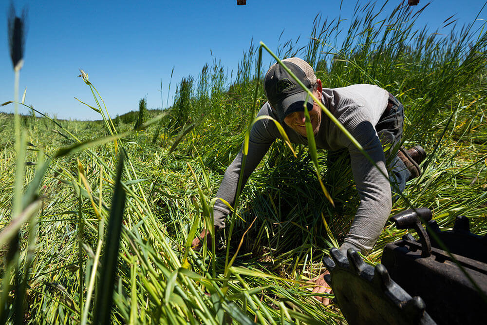 Jon Hemme calibrates no-till planter