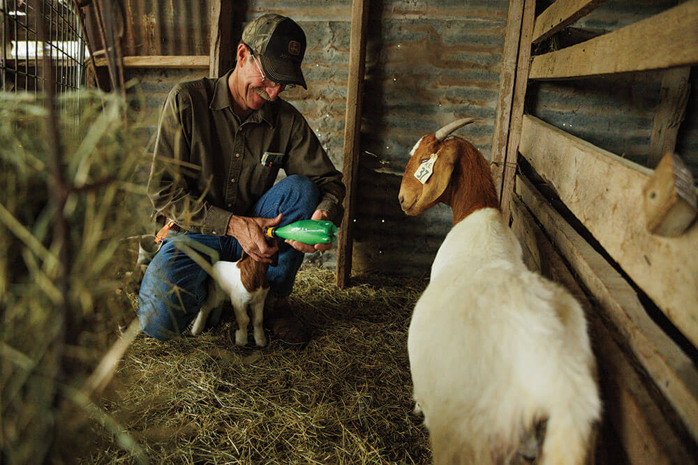 Karl Ebel bottle feeding goat kid