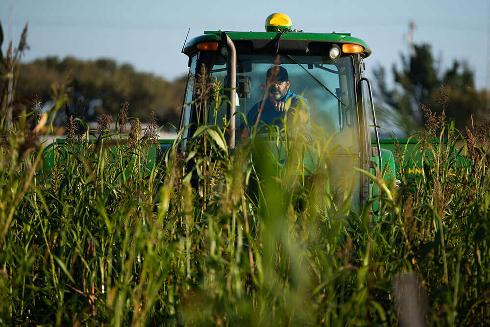 Shawn Norton planting cover crops with no-till drill