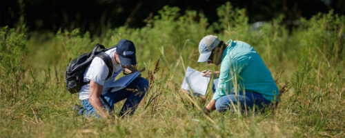 How We Are Regenerating The Noble Ranches By Starting With Context thumb