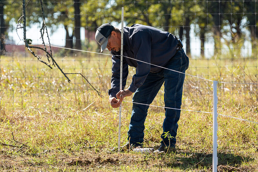 Paul Luna setting up polywire fence