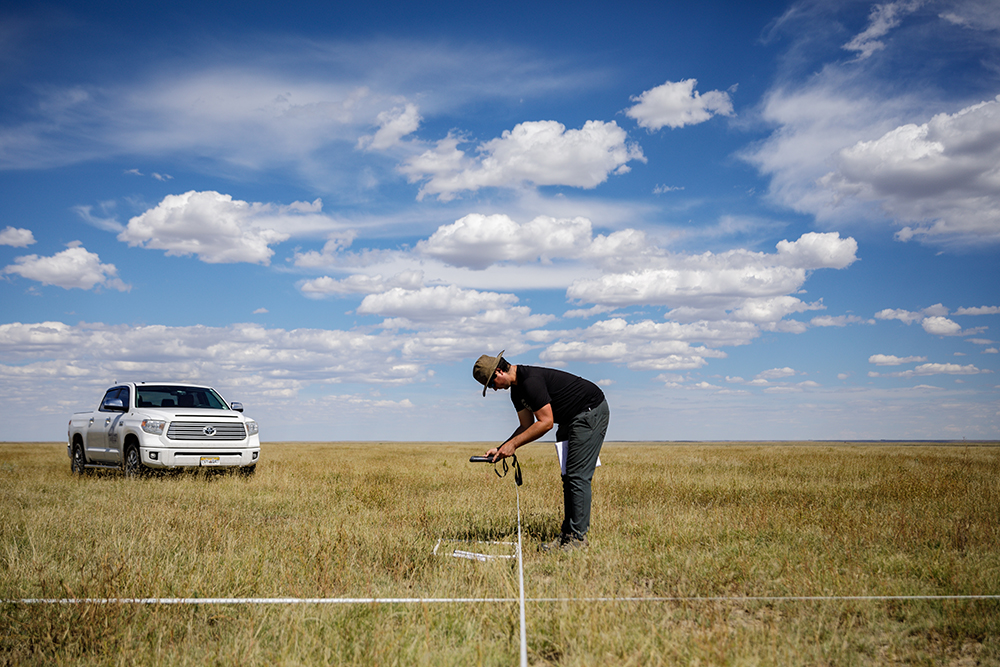 measuring in field with phone app