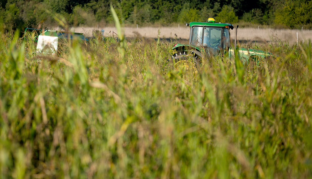 no-till drill to plant a cool season mix