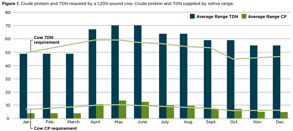 Figure 1: Crude Protein and TDN required by a 1,200-pound cow. Crude Protein and TDN supplied by native range. Combination bar and line chart.