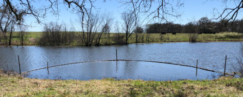 Pond Fencing thumb