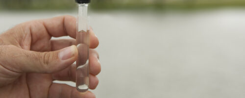 Fish Pond Water Quality: As Simple as Chemistry 101 thumb