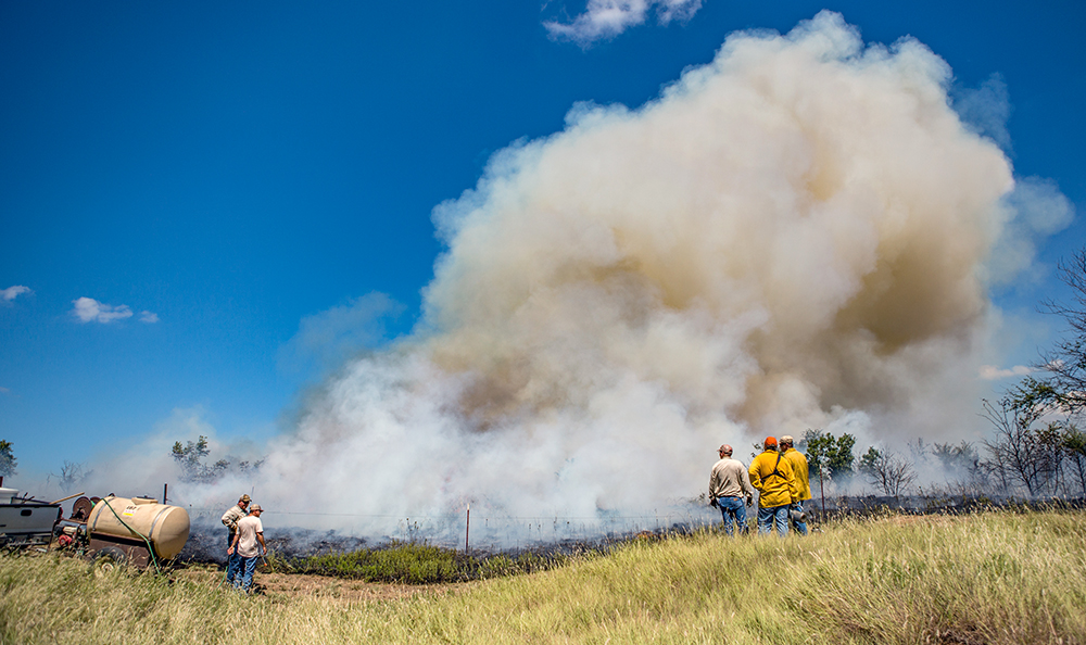 prescribed burn