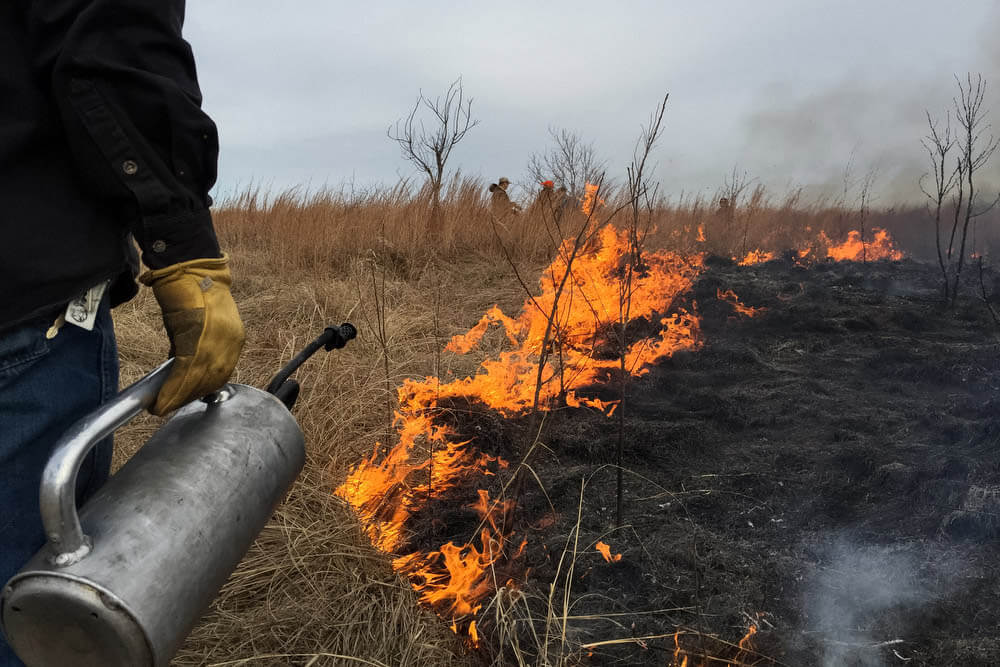 prescribed burning