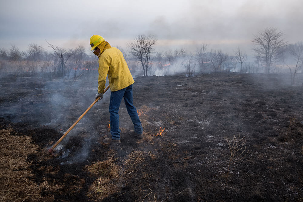 prescribed burning