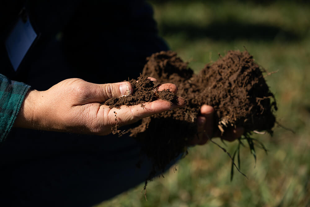 Rancher holding healthy soil