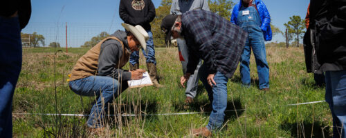 Noble Research Institute Extends Essentials of Regenerative Ranching Program to Northeast Texas Community College in Mount Pleasant, Texas thumb