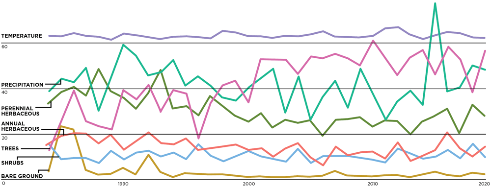 Line graph data produced by the RAP tool