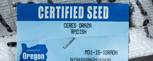 Seed Certification: What Is It and What Does It Mean for You? thumb