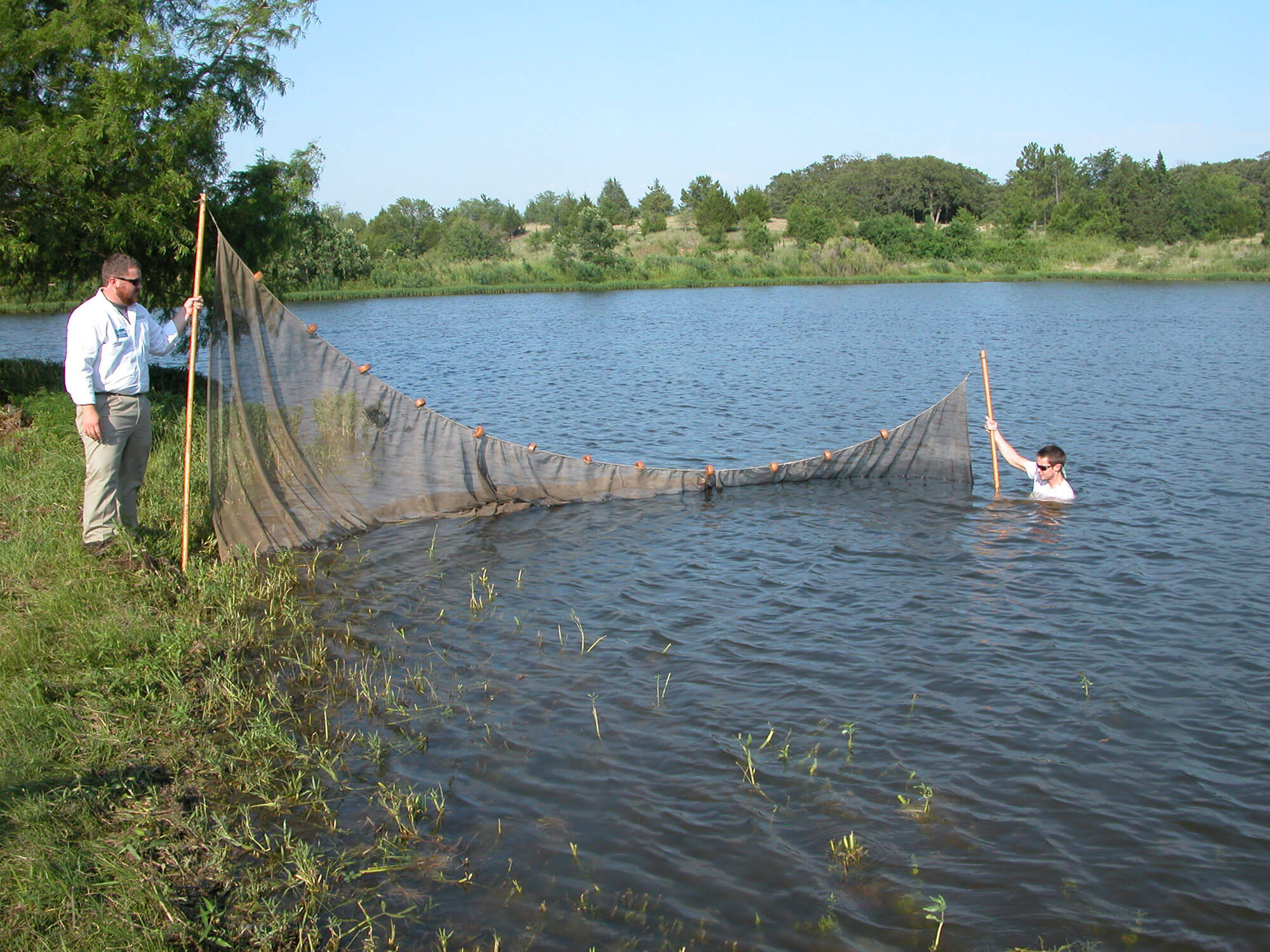 Conducting a seine survey