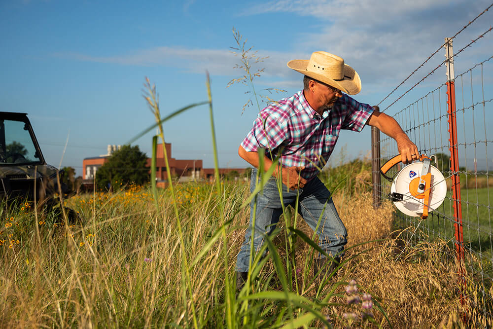 Rancher setting up temporary fencing attached to a permanent fence