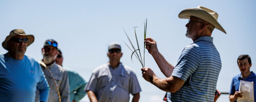 Sharpen your plant identification skills to graze with bigger goals in mind thumb