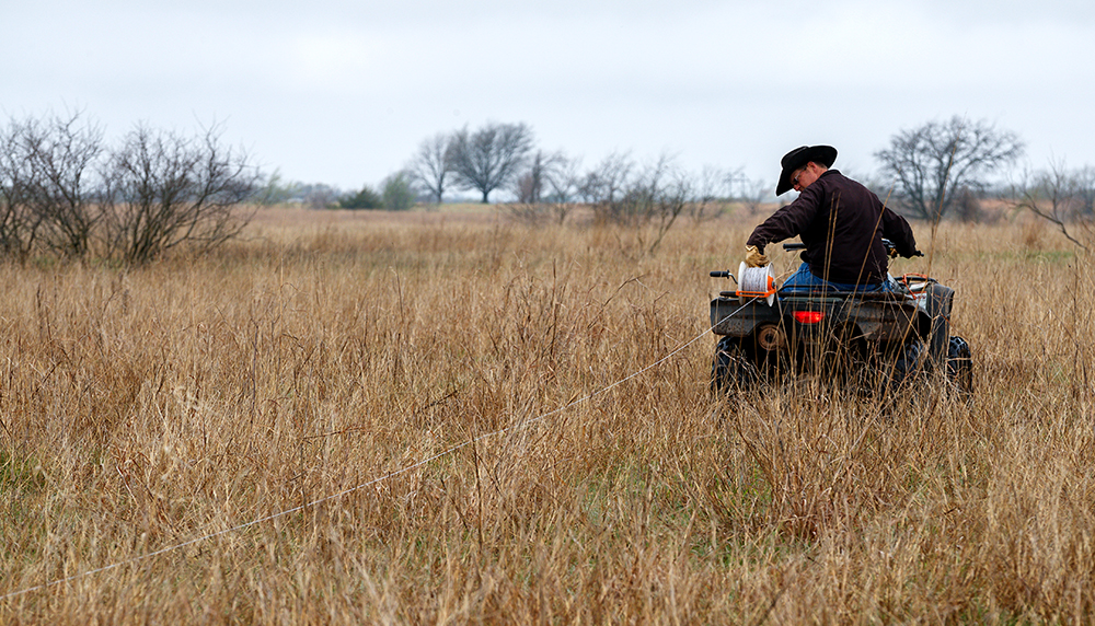 polywire in pasture