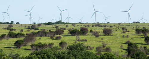 Track Annual Changes in Range Vegetation With Online Tool thumb