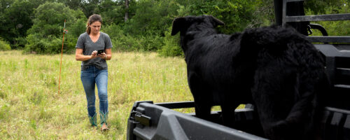 Useful apps for regenerative ranching thumb