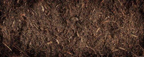 What Does Organic Matter Do In Soil? thumb