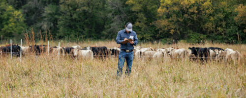 Compute and track your ‘reserve herd days’ to manage forage inventory and grazing thumb