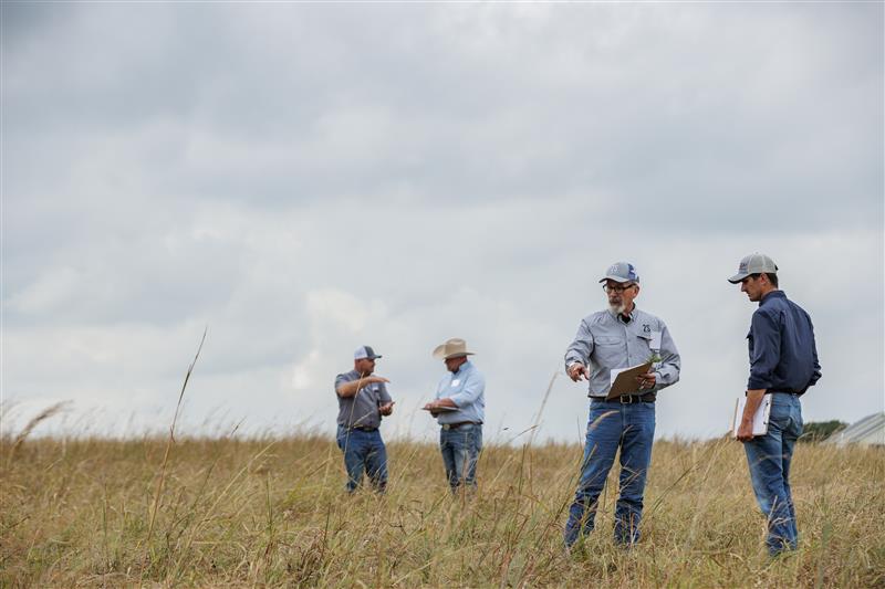 Noble Grazing Essentials attendees participating in hands-on field exercises on the Noble Research Institute Campus in Ardmore, Oklahoma. (Staff Photos by Rob Mattson/Noble Research Institute)