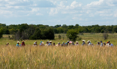 Land & Legacy Scholarship Offers Farmers and Ranchers Support in Gaining Regenerative Land and Business Management Education  thumb