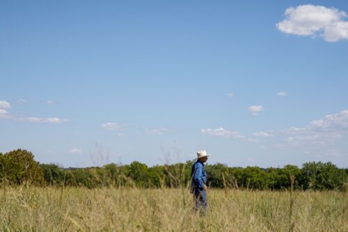 Simple ways to measure soil health improvements in real time   thumb