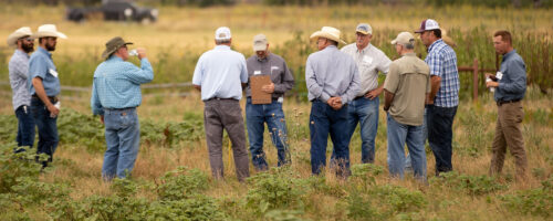 Building Your Grazing Community thumb