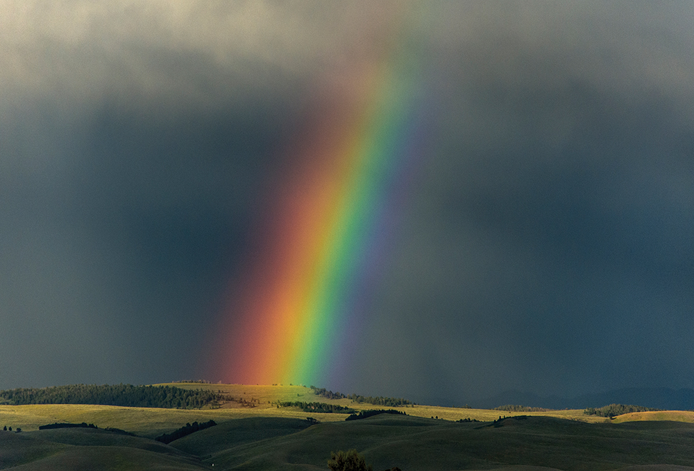 rainbow over grazing land